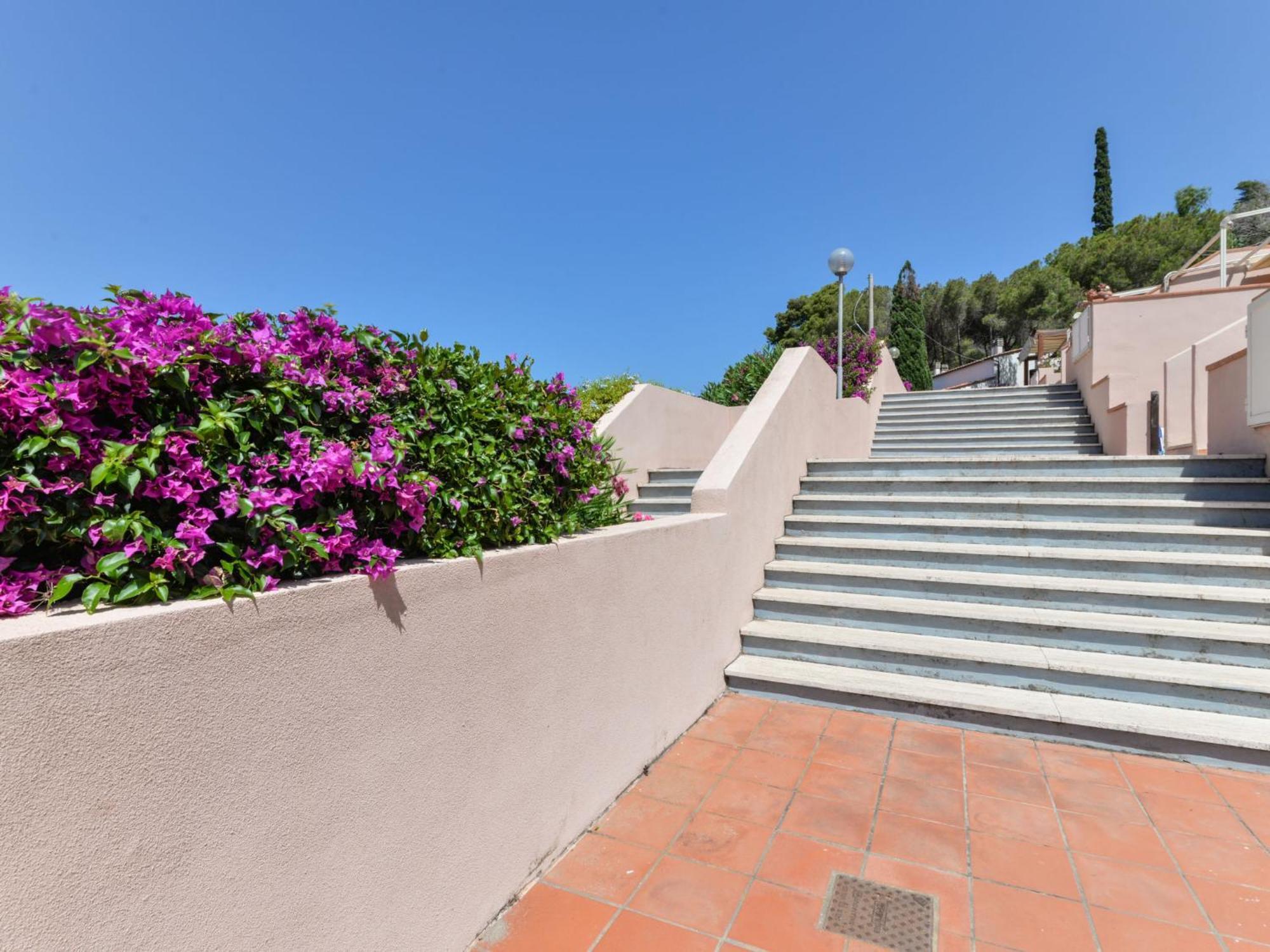 Apartment Cala Rossa-1 By Interhome Nisporto Zewnętrze zdjęcie